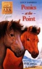 Image for Ponies at the Point