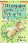 Image for The incredible journey of Walter Rat