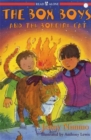Image for Box Boys And The Bonfire Cat