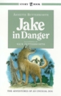 Image for Jake in danger