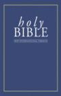 Image for Holy Bible  : New International large print version