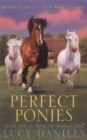 Image for Perfect Ponies Bind Up 3 In 1