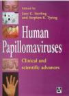 Image for Human Papillomaviruses