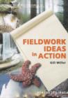 Image for Fieldwork ideas and actions
