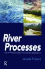 Image for RIVER PROCESSES