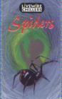 Image for Spiders : Chillers : Spiders