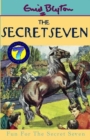 Image for 15: Fun For The Secret Seven