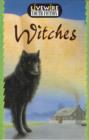 Image for Witches : Youth Fiction : Witches