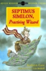 Image for Septimus Similon, Practising Wizard