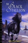 Image for Black Stallion