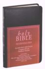 Image for Holy Bible  : New International Version : Slimline Edition
