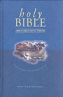 Image for Holy Bible  : New International popular version with concordance