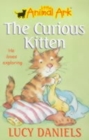 Image for The Curious Kitten