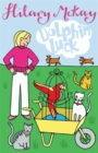 Image for Dolphin Luck