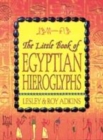 Image for The little book of Egyptian hieroglyphs