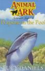 Image for Porpoise in the Pool