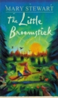 Image for The little broomstick