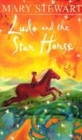 Image for Ludo and the Star Horse