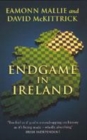 Image for Endgame in Ireland