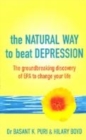 Image for The Natural Way to Beat Depression