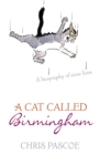 Image for A Cat Called Birmingham