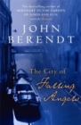 Image for The City of Falling Angels