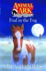 Image for Foal In The Fog