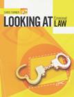 Image for Looking at Criminal Law