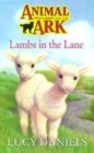 Image for Lambs in the lane