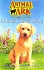 Image for Labrador On The Lawn