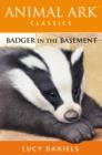 Image for Badger in the Basement