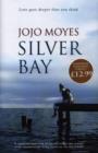 Image for Silver Bay
