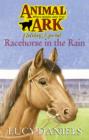 Image for Racehorse in the Rain