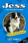Image for Jess The Border Collie: The Challenge