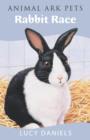 Image for Rabbit race  : Lucy Daniels