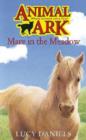 Image for Animal Ark: Mare in the Meadow