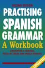 Image for Practising Spanish grammar  : a workbook