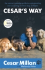 Image for Cesar&#39;s way  : the natural, everyday guide to understanding and correcting common dog problems