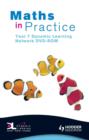 Image for Maths in Practice Dynamic Learning