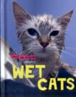 Image for Wet cat