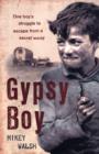 Image for Gypsy Boy