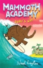 Image for Surf&#39;s up