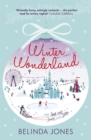 Image for Winter wonderland