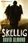 Skellig by Almond, David cover image