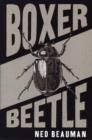 Image for Boxer, beetle