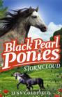 Image for Black Pearl Ponies: Stormcloud