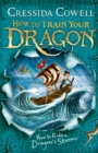 Image for How to Train Your Dragon: How to Ride a Dragon&#39;s Storm