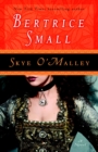 Image for Skye O&#39;Malley : A Novel