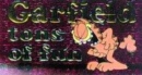 Image for Garfield tons of fun