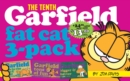 Image for Garfield Fat Cat 3 Pack (Vol 10)